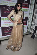 at  Khadilogy launch in Mumbai on 13th Feb 2013 (17).JPG